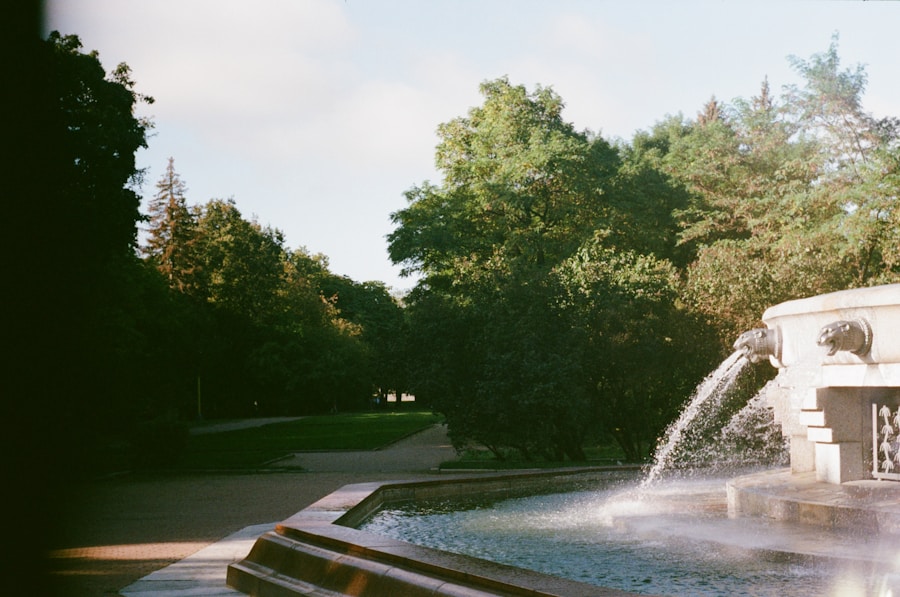 A fountain in a park with trees in the background.