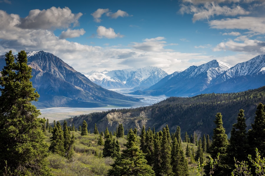 A view of a valley with trees and mountains in the background.