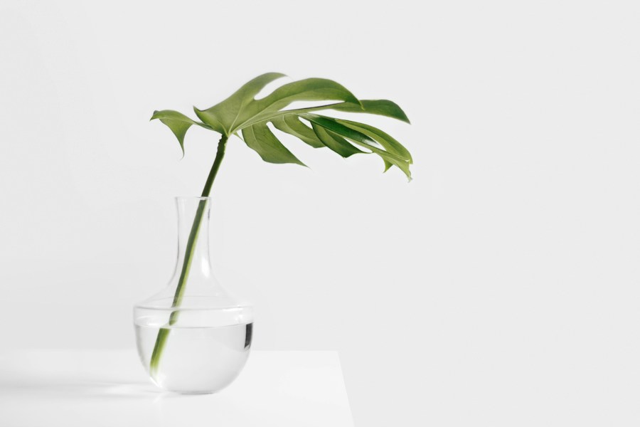 A plant in a glass vase on a white table.